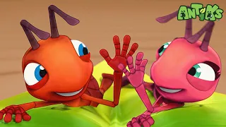 That Sinking Feeling| 😄🐜| Antiks Adventures - Joey and Boo's Playtime