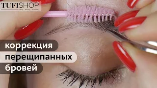 Коррекция перещипанных бровей| Окрашивание бровей| МК