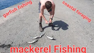mackerel Fishing garfish Fishing coastal foraging North Welsh Manai and Holly head