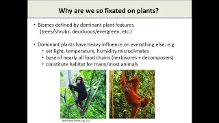 Introduction to temperate biomes