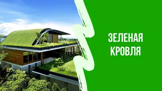 Обзор Зеленая кровля