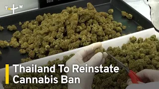 Thailand To Reinstate Ban on Recreational Cannabis Use | TaiwanPlus News