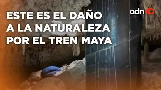 Estos son los daños que está ocasionando el Tren Maya en la Naturaleza