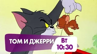 "Том и Джерри" завтра в 10:30 на НТК!