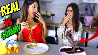 VRAI SERPENT VS SERPENT EN BONBON ! CHALLENGE - LAUREN CRUZ