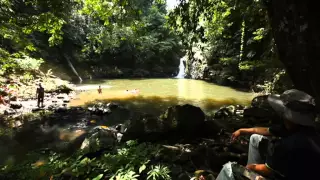 Tabin Wildlife Resort - The Natural Aviary of Borneo