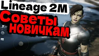 Lineage 2M СОВЕТЫ ДЛЯ НОВИЧКОВ L2M ГАЙД