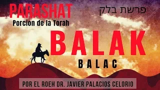 PARASHAT #40 BALAK por el Roeh Dr. Javier Palacios Celorio   #EstudiaTorah #Torah