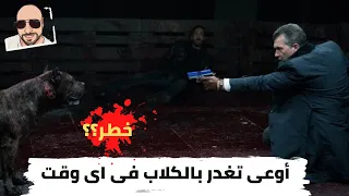 راجل مهووس بمصارعة الكلاب لحد ما بيجيلو الكلب التمام اللى هينفخو  ملخص فيلم...Bullet Head