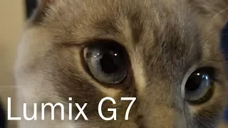 I got A New Camera!! | Panasonic Lumix G7 | Lumix G7 vs. Iphone 6s