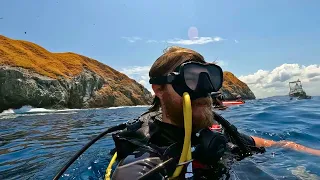 Scuba Diving Islas Catalinas - (Tamarindo/Flamingo) Costa Rica