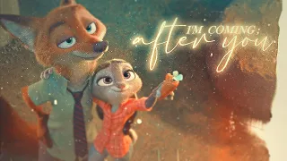 judy & nick | i'm coming after you