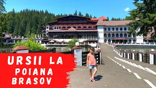 URSII la Poiana Brasov | Travel Vlog | Poiana Brasov 2021 | Calatoreste cu Mine