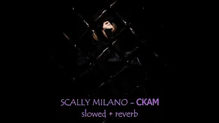 SCALLY MILANO - СКАМ (slowed + reverb)