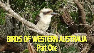 Birds of Western Australia - Part One