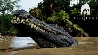 CROC ON A RAMPAGE | Deinosuchus Gameplay | The Isle Evrima