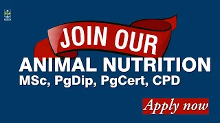Animal Nutrition Online Distance Learning programme at the University of Glasgow.
