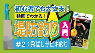 初心者でも大丈夫！動画でわかる！堤防釣り入門｜2飛ばしサビキ釣り