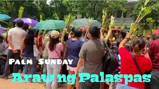 Araw ng Palaspas/ PALM SUNDAY