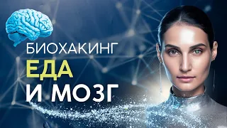 Биохакинг: ЕДА И МОЗГ. КАК ПОВЫСИТЬ ЭФФЕКТИВНОСТЬ