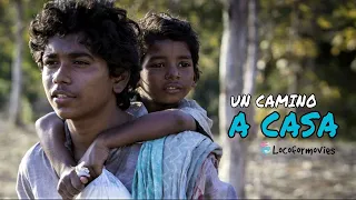 🎦UN CAMINO A CASA(2016) - RESUMEN🎦