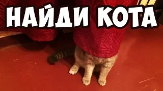 ЕСЛИ НАЙДЕШЬ ВСЕХ КОТОВ  — ТЫ КРАСАВЧИК! 🐈 Найди кота на фото | БУДЬ В КУРСЕ TV