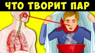 Вдыхай Картофель и из Твоего тела Выйдет это...