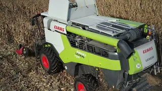 NEW CLAAS LEXION 6600 // PD Dolný Lopašov zber kukurice 2021