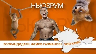 Зоопарк кандидатів, фейко-Газманов і чий Крим? | НЬЮЗРУМ #22