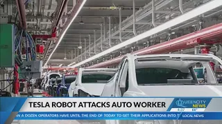 Robot attacked Tesla engineer at Texas factory: Report