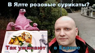 Прогулка по январскому парку в отеле Ялта-Интурист 2021 Розовые сурикаты и ужин в европейском стиле.