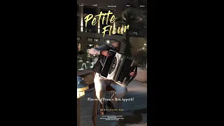 Petite Fleur - Live accordion in Doha