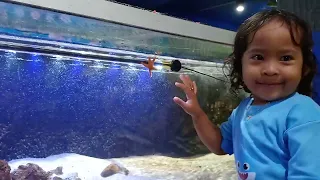 Waaahhh ada BABY SHARK, AFIDA takutttt !!! Yuk lihat Aquarium Monster bareng akuu😍😍