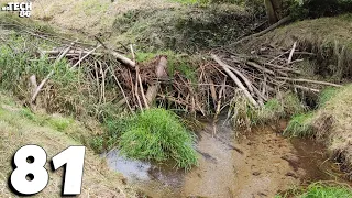 Very Crunchy Sounds - Old Beaver Dam Removal With An Excavator No.81