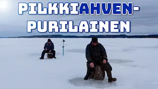 Hampurilainen pilkkiahvenista