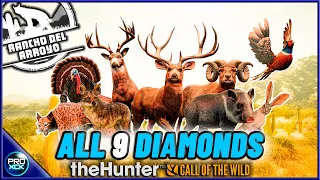 All 9 diamonds Rancho del Arroyo - the Hunter Call of the Wild