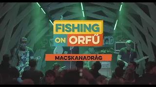 Macskanadrág - Fishing on Orfű 2019 (Teljes koncert)