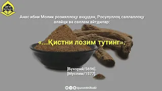 Курон шифодир