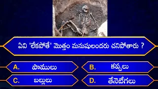 knowledgeable Questions In Telugu | Episode - 96 | By Rk thoughts | General Knowledge |Unknownfacts