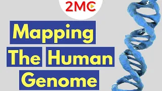 The Human Genome Project | A Brief Overview