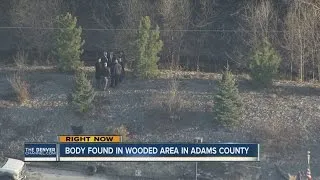 Woman's body found in wooded area near golf course