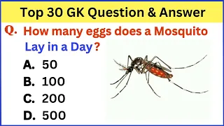 Interesting GK Questions | World History GK Questions | Amazing Facts Questions | #gkquiz