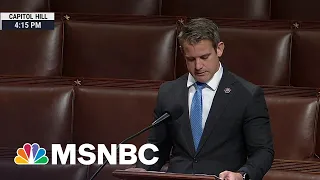 Rep. Adam Kinzinger Delivers Final Speech As Congressman