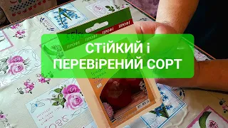 Посійте цей СТІЙКИЙ до ХВОРОБ сорт Томатів і ви завжди будете з помідорами@Dacha_Sad_Gorod