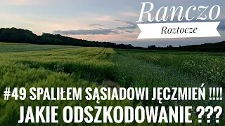 #49 Spaliłem jęczmień ozimy sąsiadowi !!! 😣😒😖 Jaka rekompensata ? 🤔