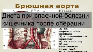 Диета при спаечной болезни кишечника после операции