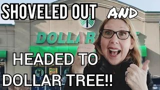 COME WITH ME TO DOLLAR TREE | ALL NEW FINDS | EVERYTHING A $1.25