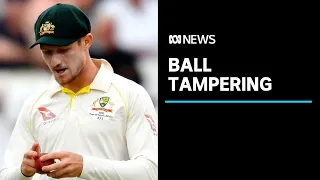 Australian bowlers deny knowledge of ball tampering scheme after Bancroft interview | ABC News