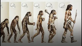 Эволюция: триумф идеи ч. 1.1 Дарвин и Бигль