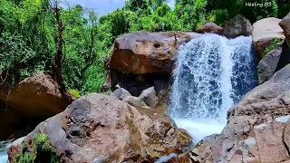 Waterfall sound, peaceful birds chirping in the mountains, sleep, relaxation, study, positive vibes